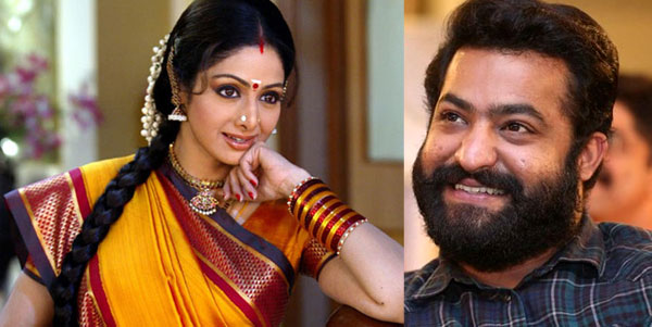 jr ntr,sridevi,kona venkat,bobby,ks ravindra,sridevi in jr ntr and bobby movie  ఎన్టీఆర్ సినిమాలో...అతిలోకసుందరా..!